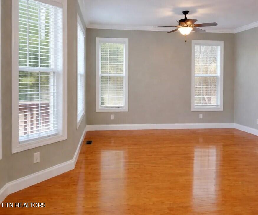 4503 Christine Lynnae Street Knoxville TN 37938