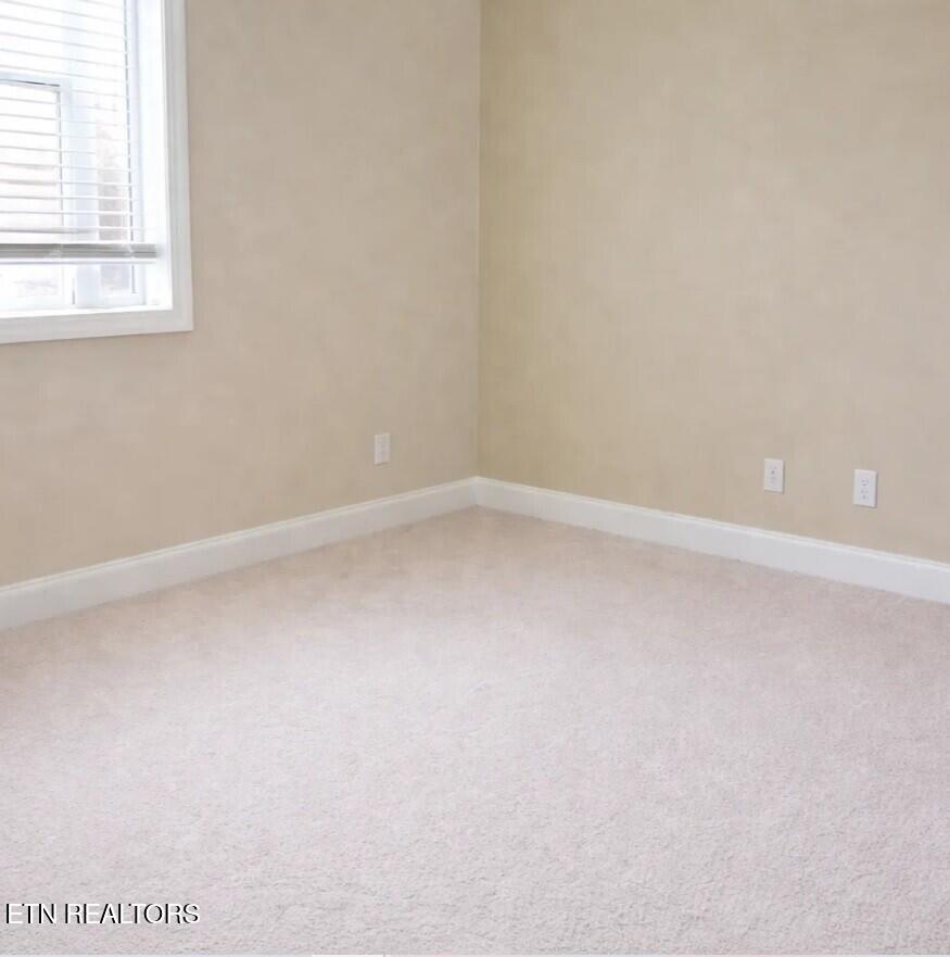 4503 Christine Lynnae Street Knoxville TN 37938