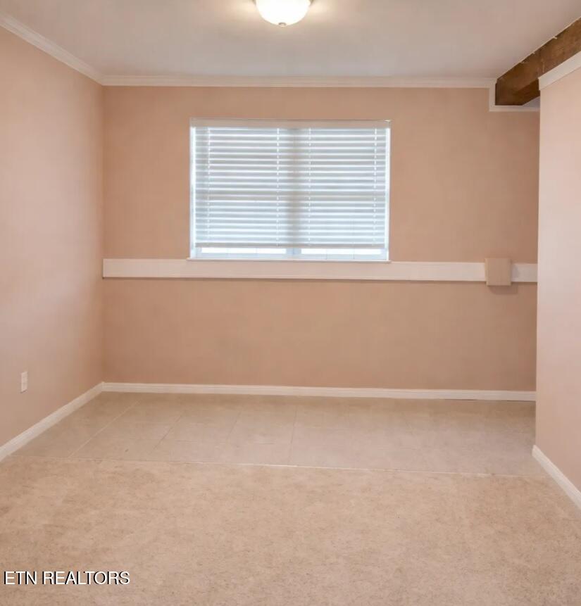 4503 Christine Lynnae Street Knoxville TN 37938