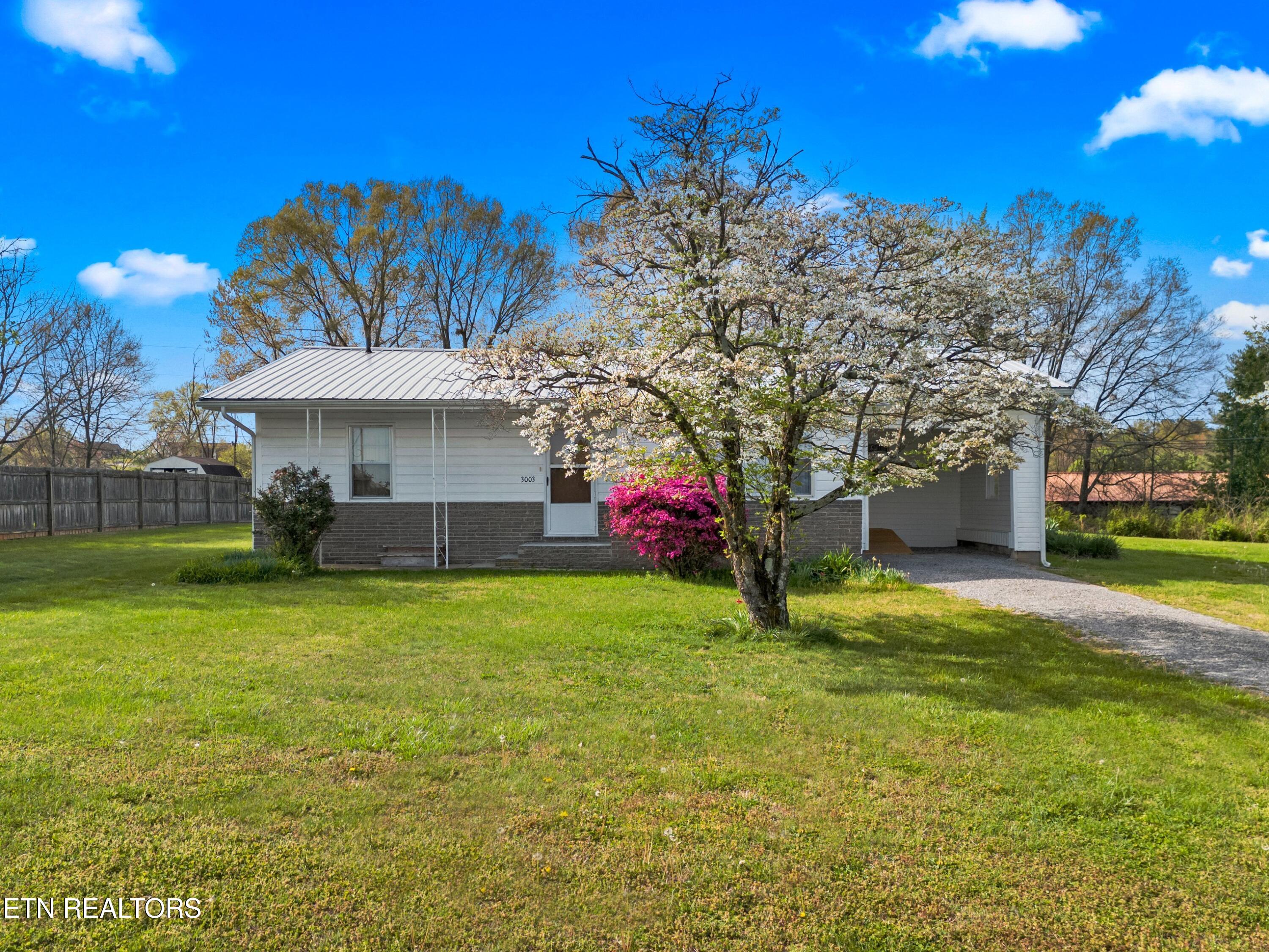 3003 Jane Street White Pine TN 37890