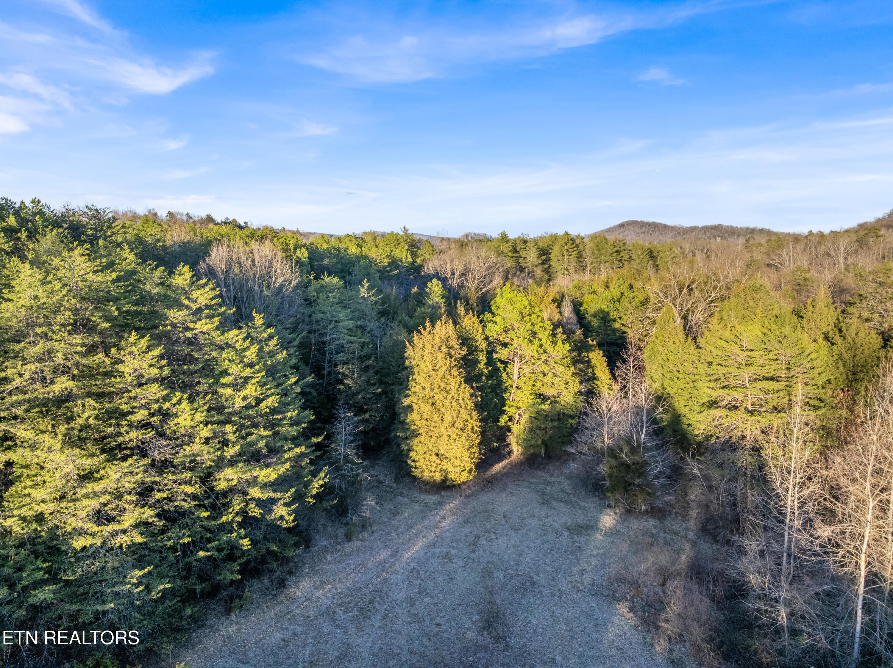 142 Fiddlers Lane Kingston TN 37763