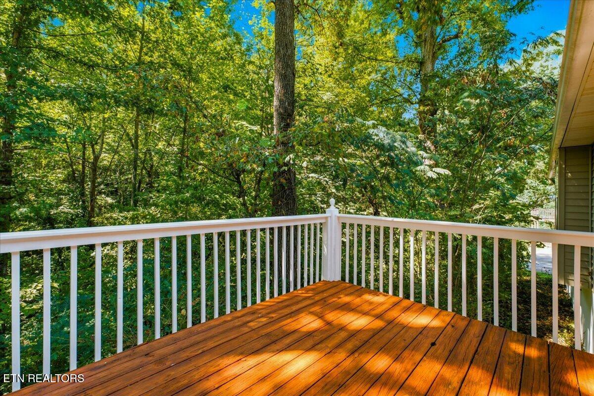 2301 Antietam Road Knoxville TN 37917