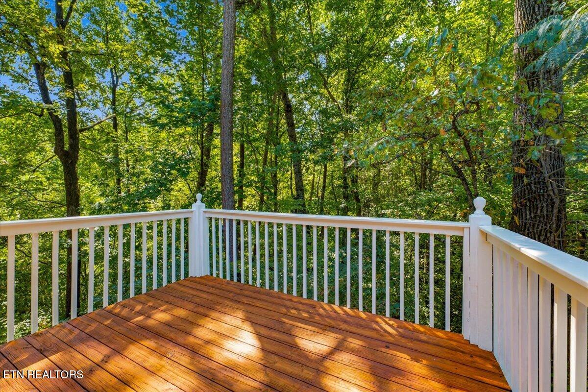 2301 Antietam Road Knoxville TN 37917