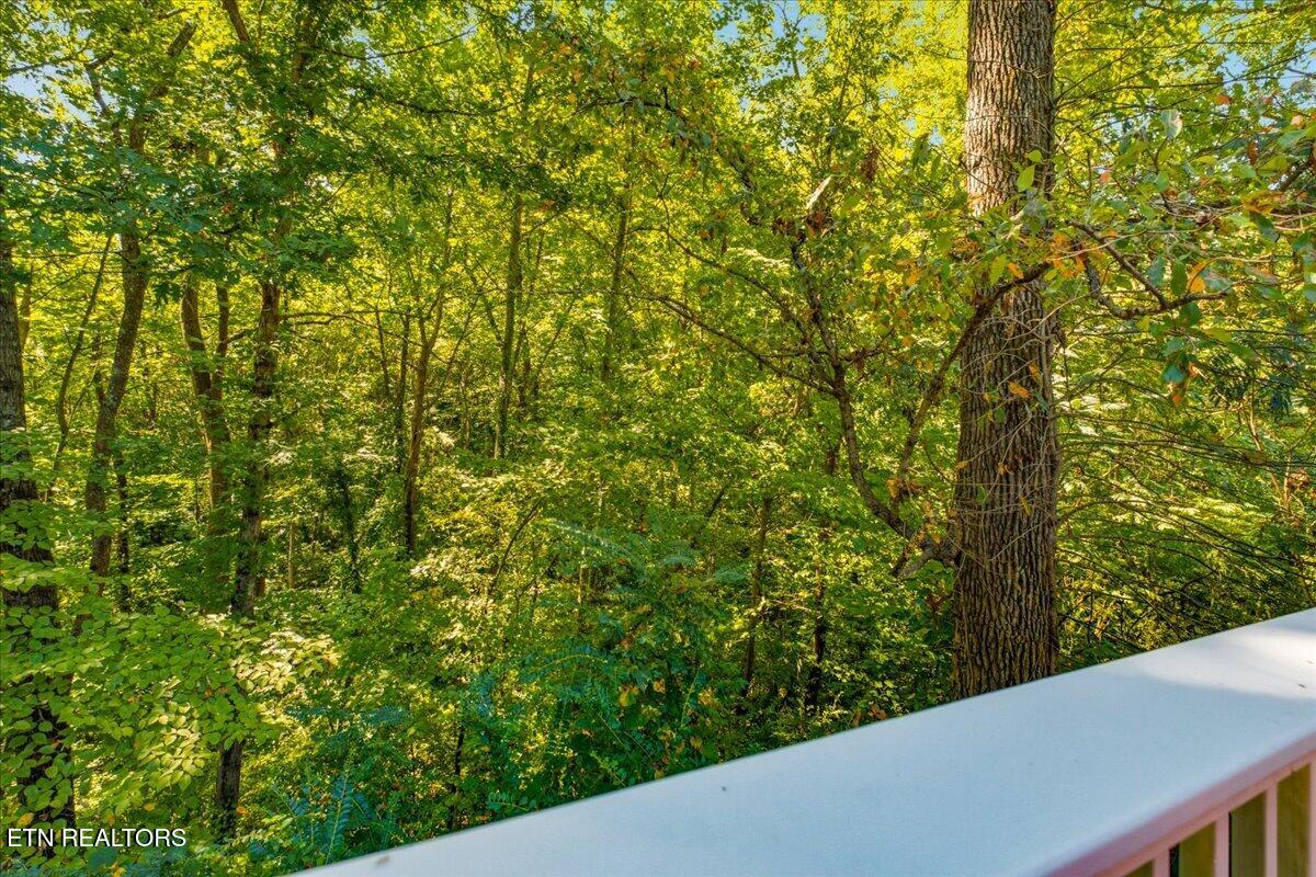 2301 Antietam Road Knoxville TN 37917