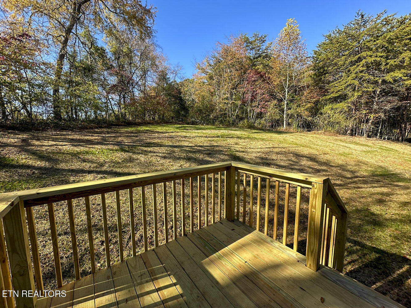350 Bungalow Drive Dandridge TN 37725