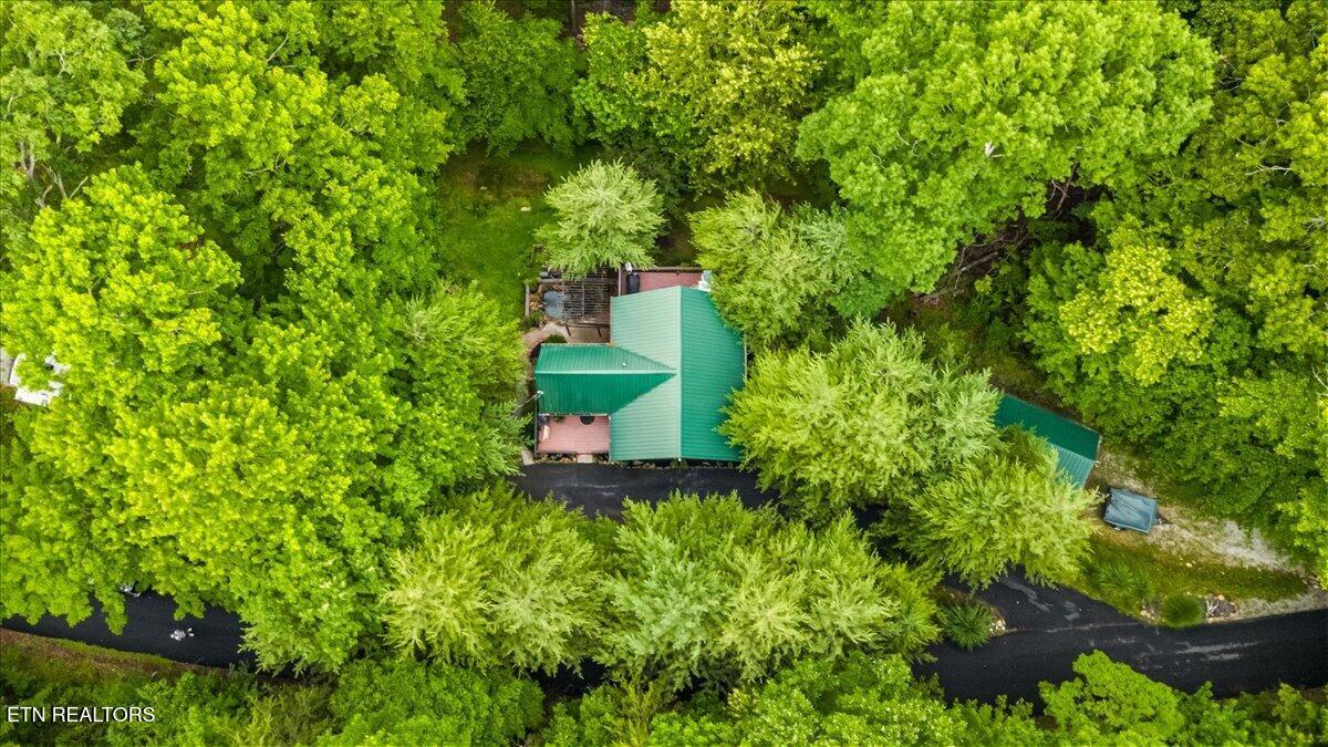 274 Pearl Road Lafollette TN 37766