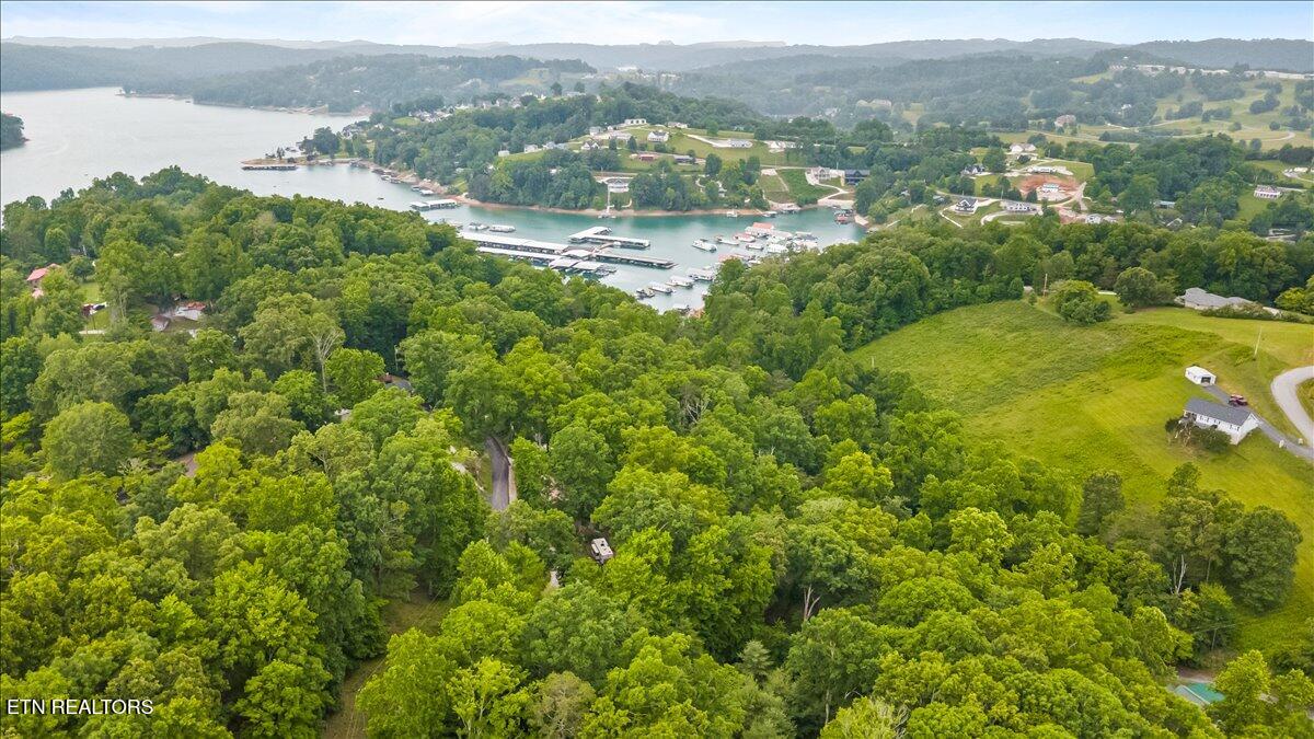 274 Pearl Road Lafollette TN 37766