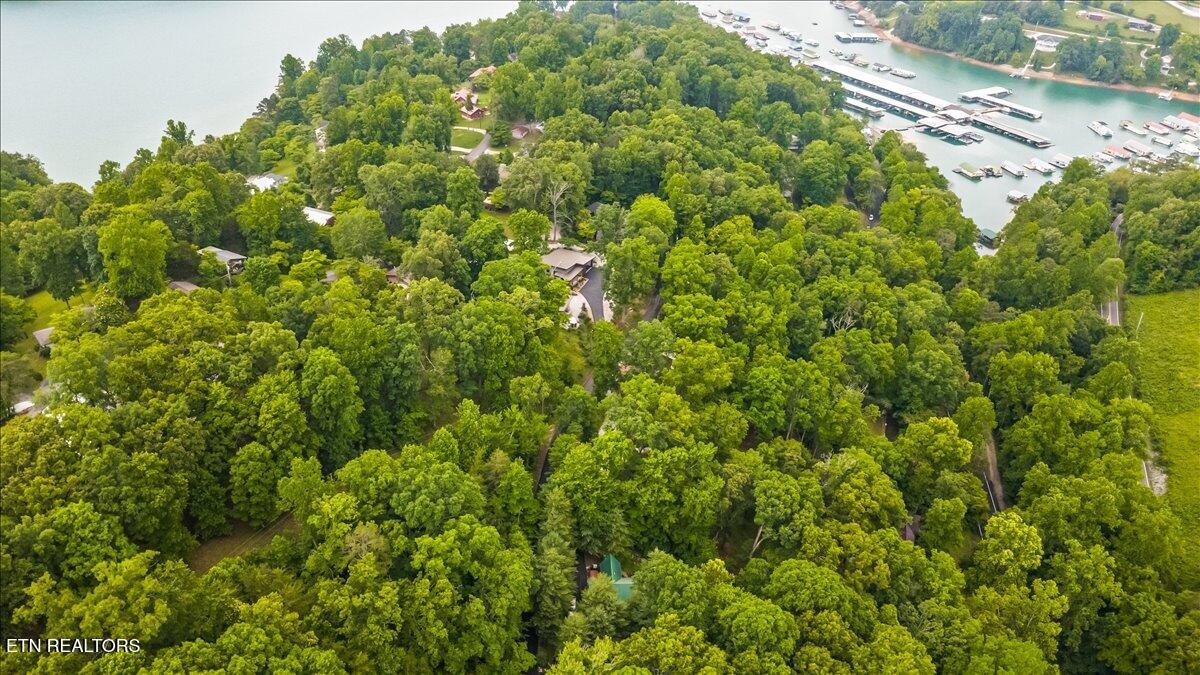 274 Pearl Road Lafollette TN 37766