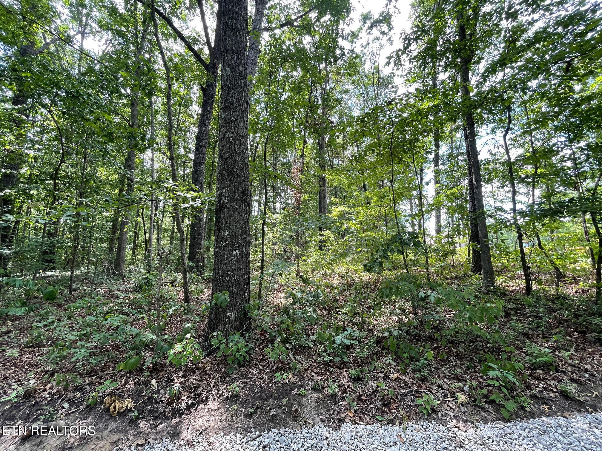 1348 Franklin Loop Clarkrange TN 38553