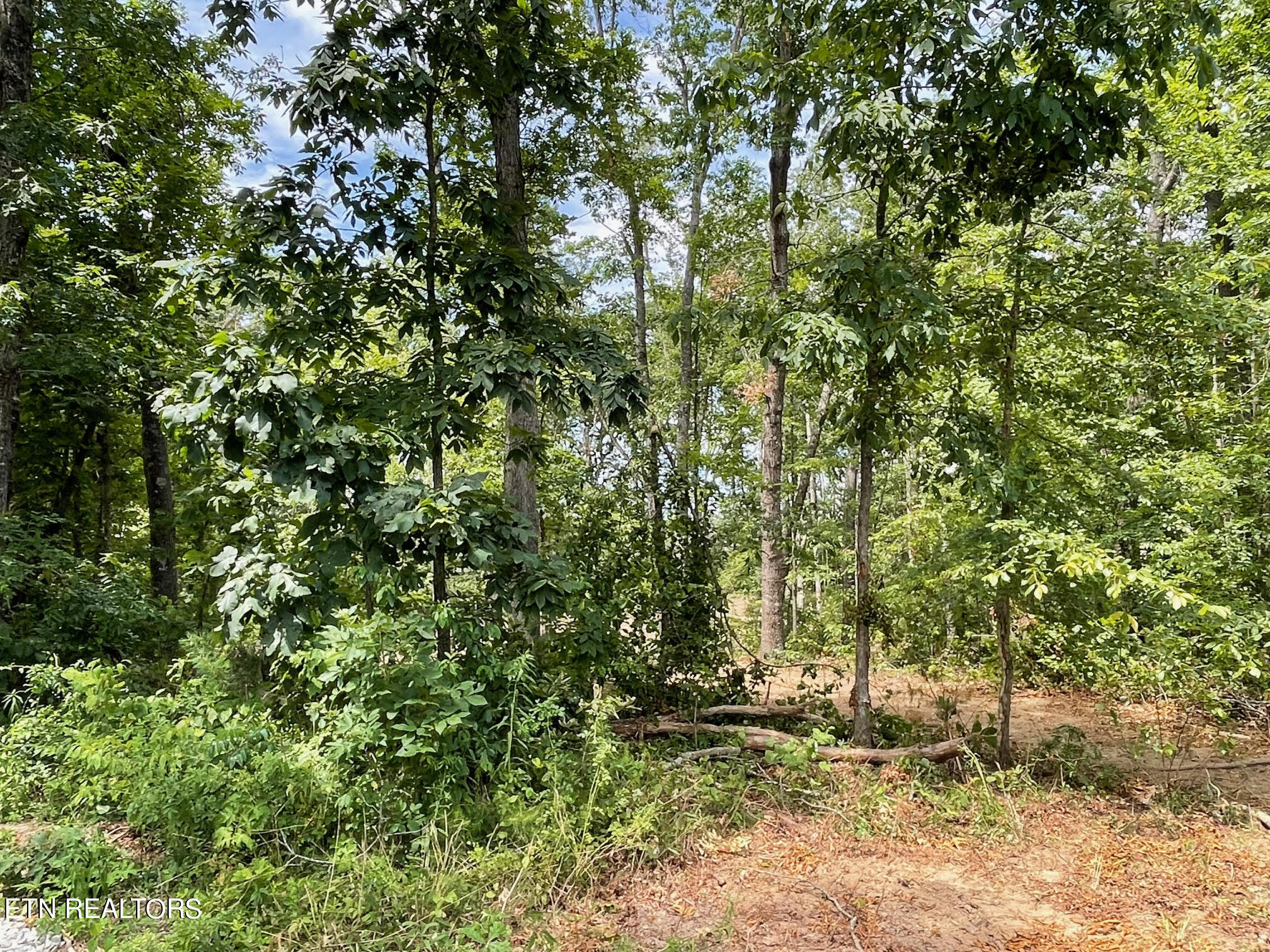 1348 Franklin Loop Clarkrange TN 38553