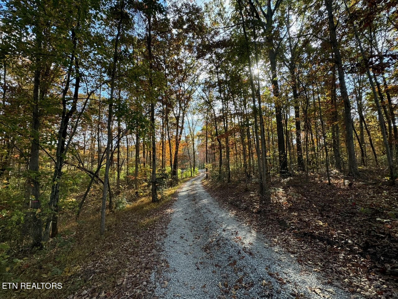 1348 Franklin Loop Clarkrange TN 38553