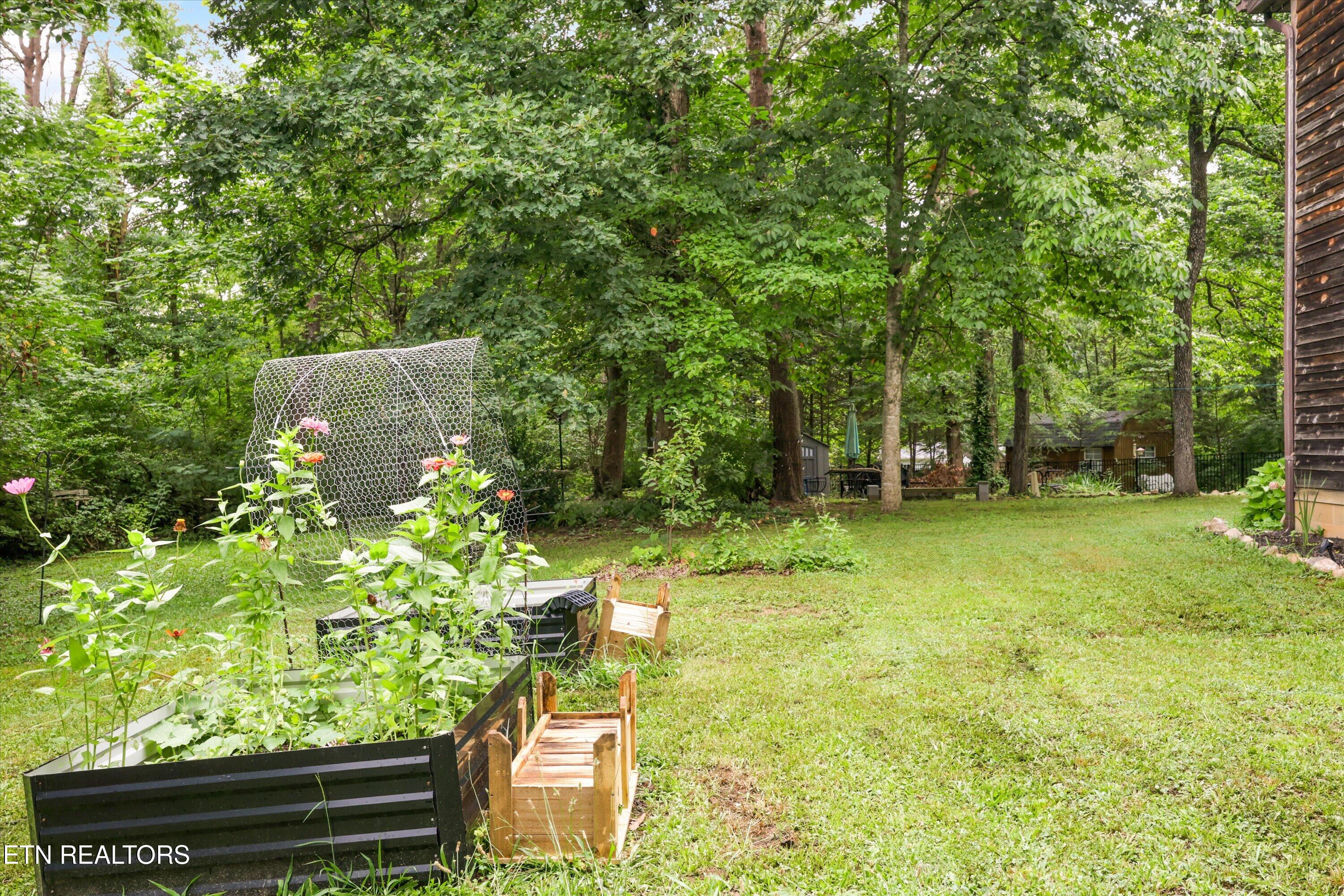 1704 Haley Glenn Lane Knoxville TN 37920