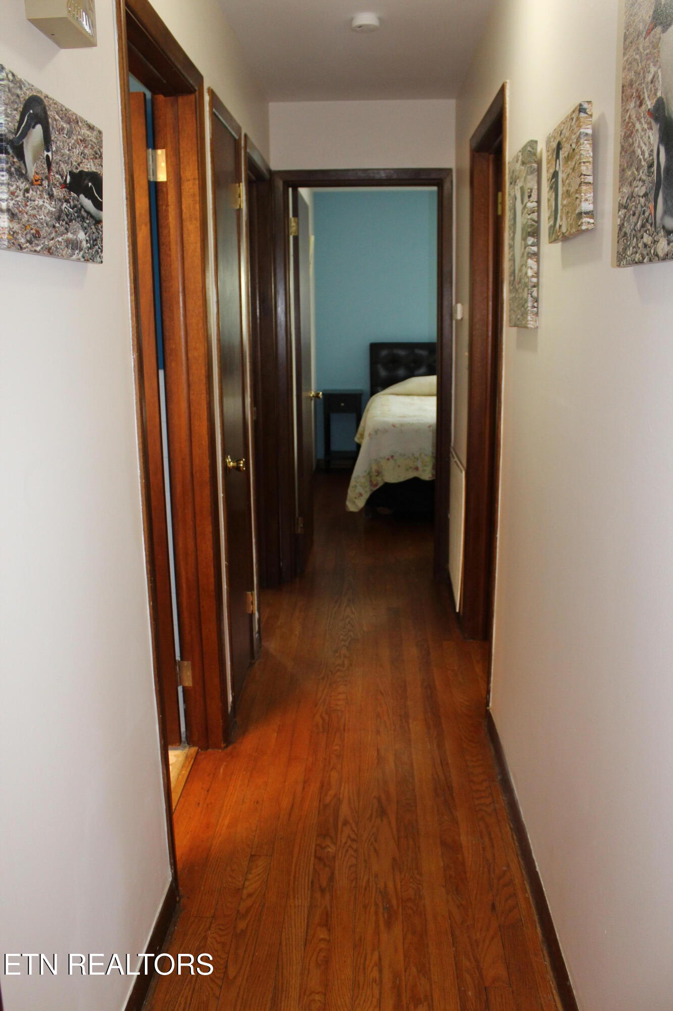 2704 Roland Lane Knoxville TN 37931