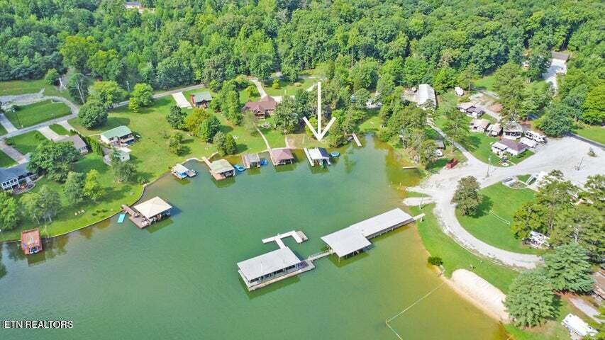 769 Scenic Lakeview Drive Spring City TN 37381
