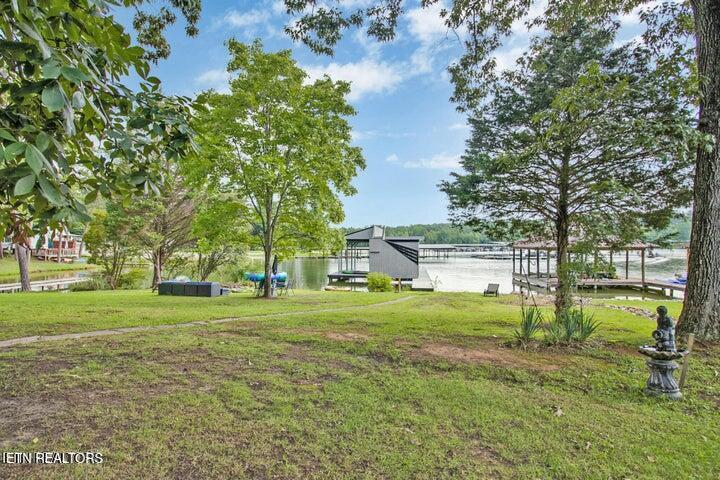 769 Scenic Lakeview Drive Spring City TN 37381
