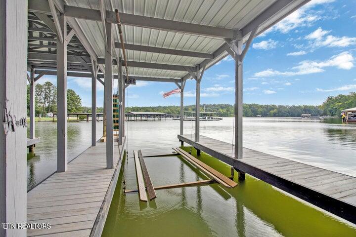 769 Scenic Lakeview Drive Spring City TN 37381