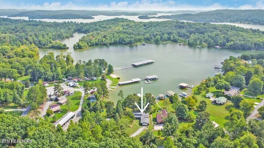 769 Scenic Lakeview Drive Spring City TN 37381