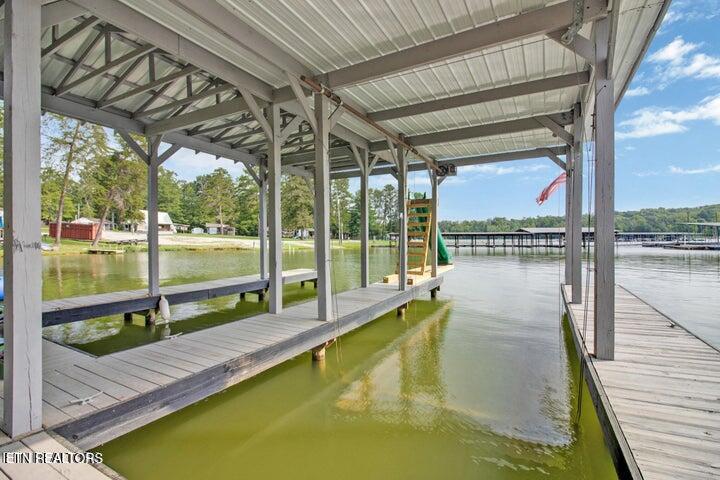 769 Scenic Lakeview Drive Spring City TN 37381