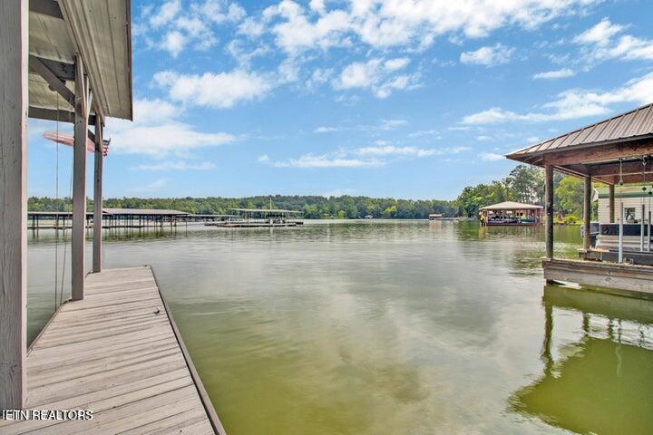 769 Scenic Lakeview Drive Spring City TN 37381