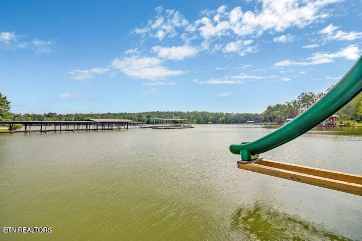 769 Scenic Lakeview Drive Spring City TN 37381