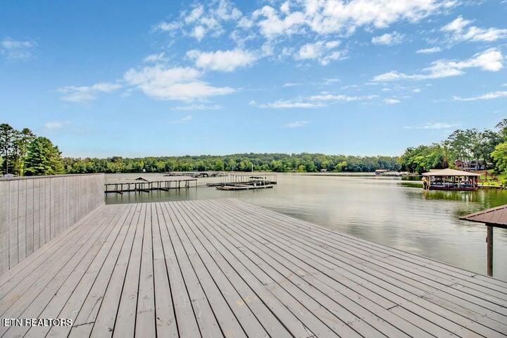 769 Scenic Lakeview Drive Spring City TN 37381