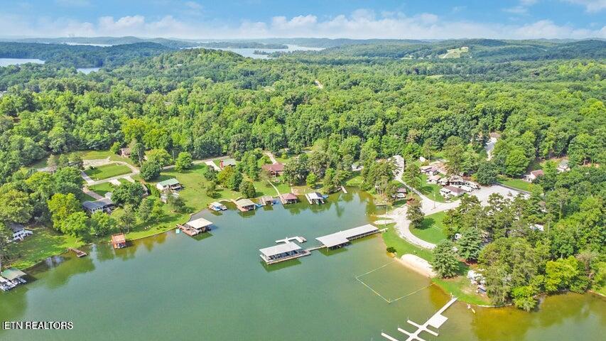 769 Scenic Lakeview Drive Spring City TN 37381