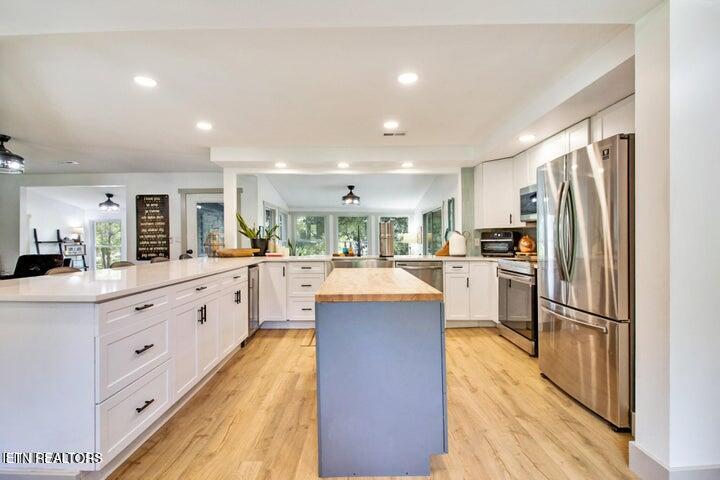 769 Scenic Lakeview Drive Spring City TN 37381