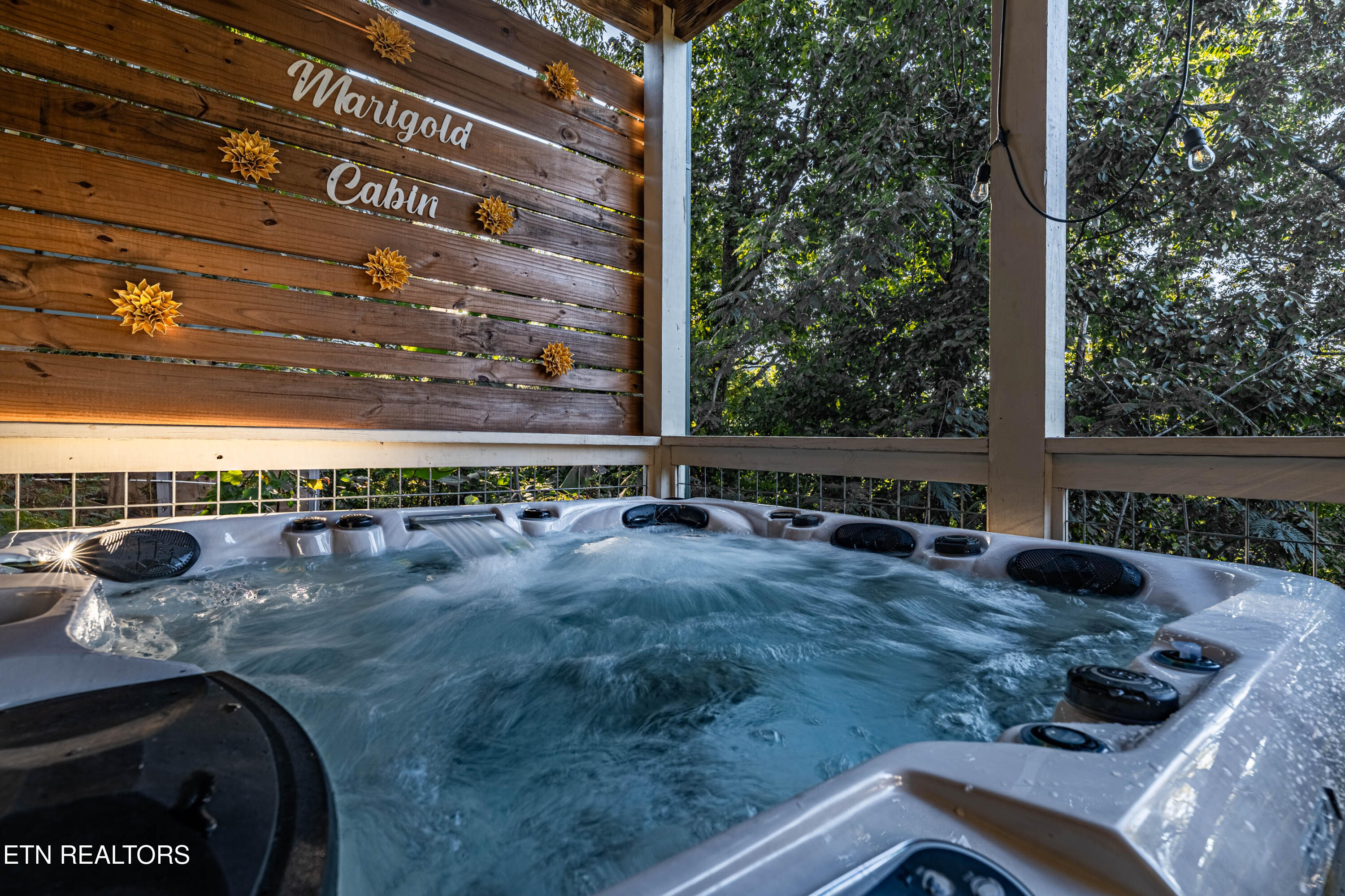 855 Osprey Way Pigeon Forge TN 37863