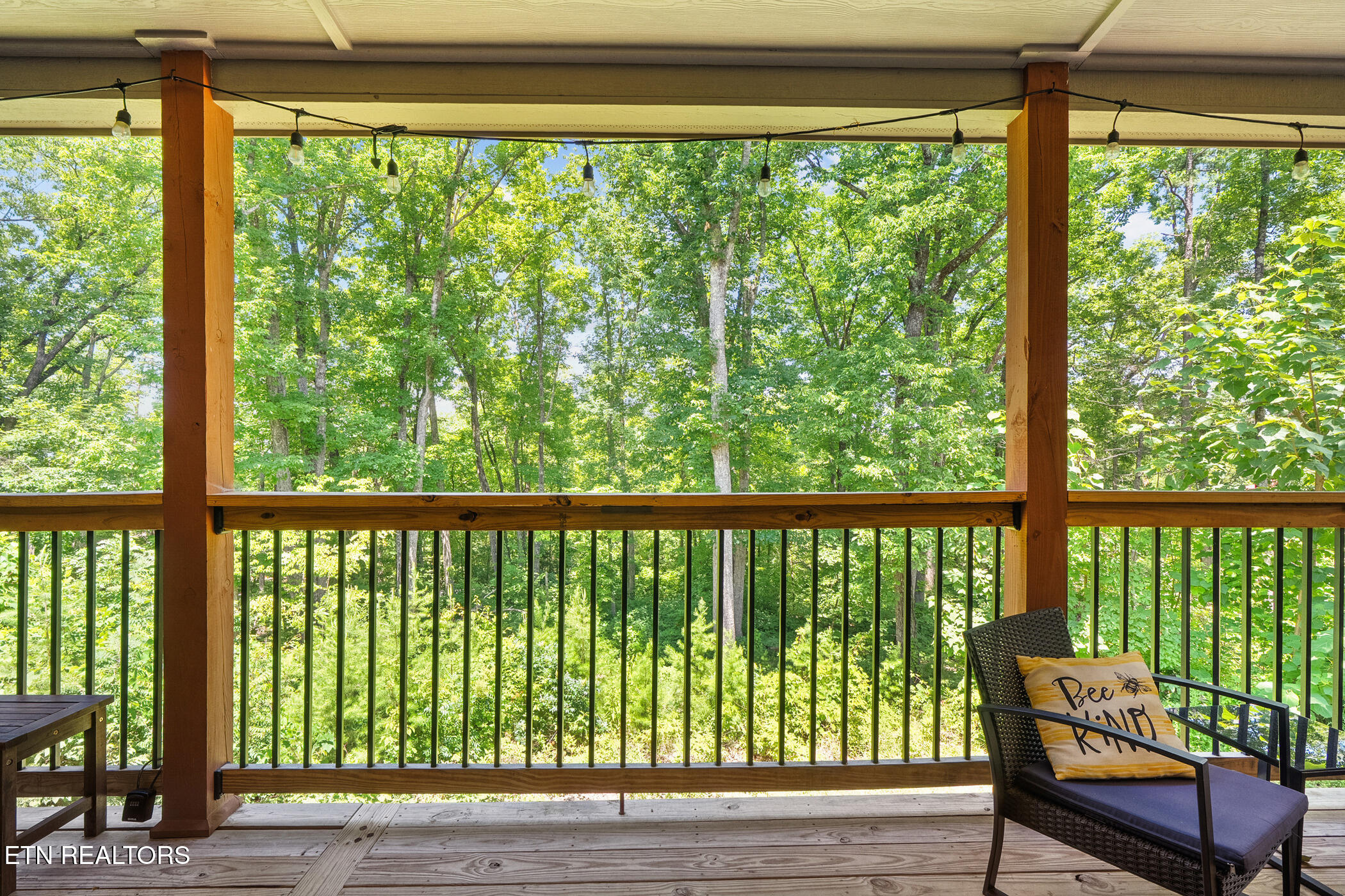 2612 Cloud View Drive Sevierville TN 37862