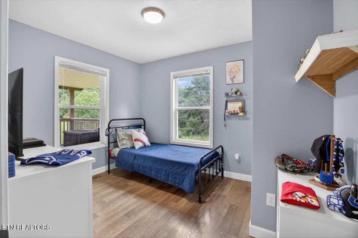 2560 Schisandra Lane Cosby TN 37722