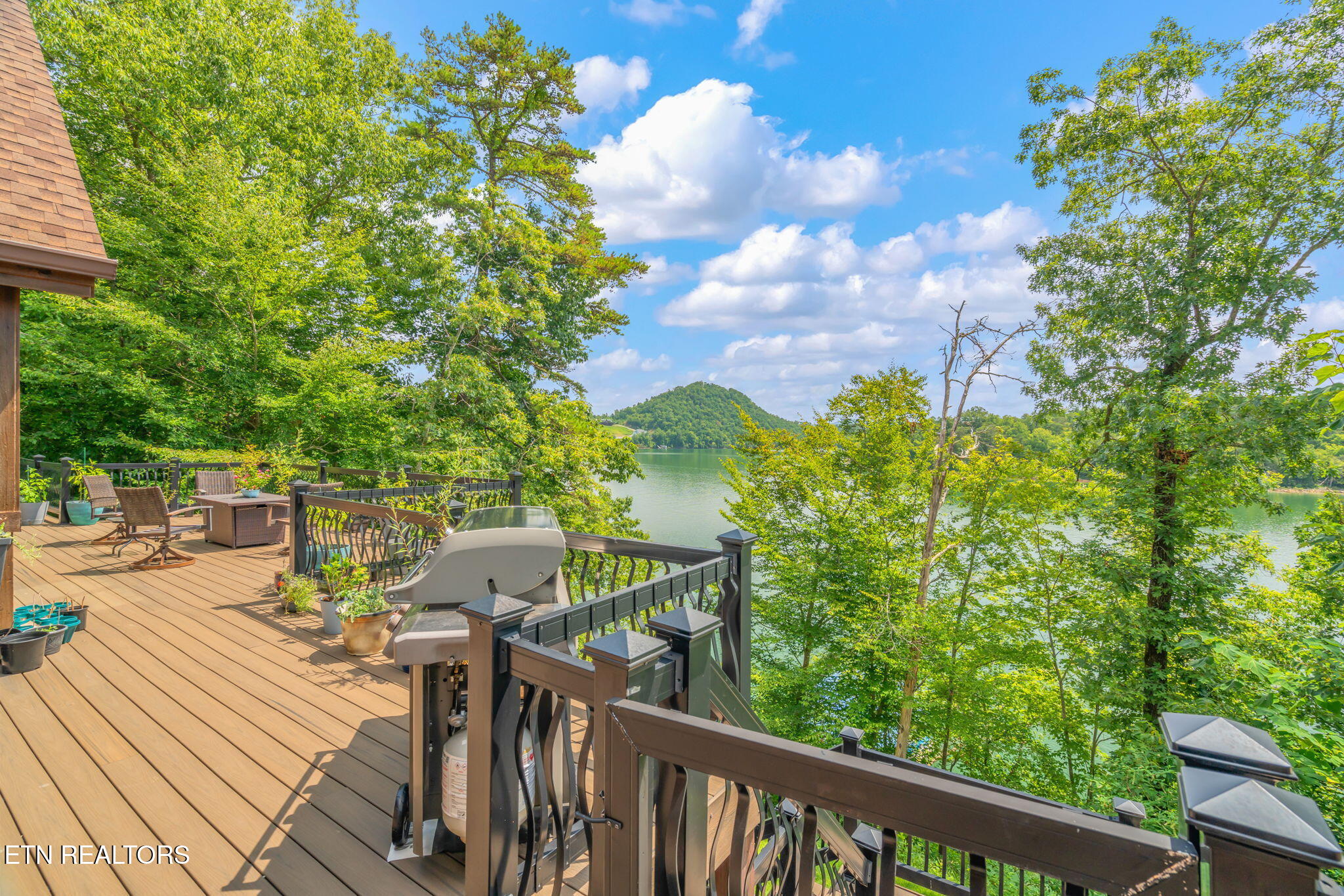 168 Rockfish Point New Tazewell TN 37825