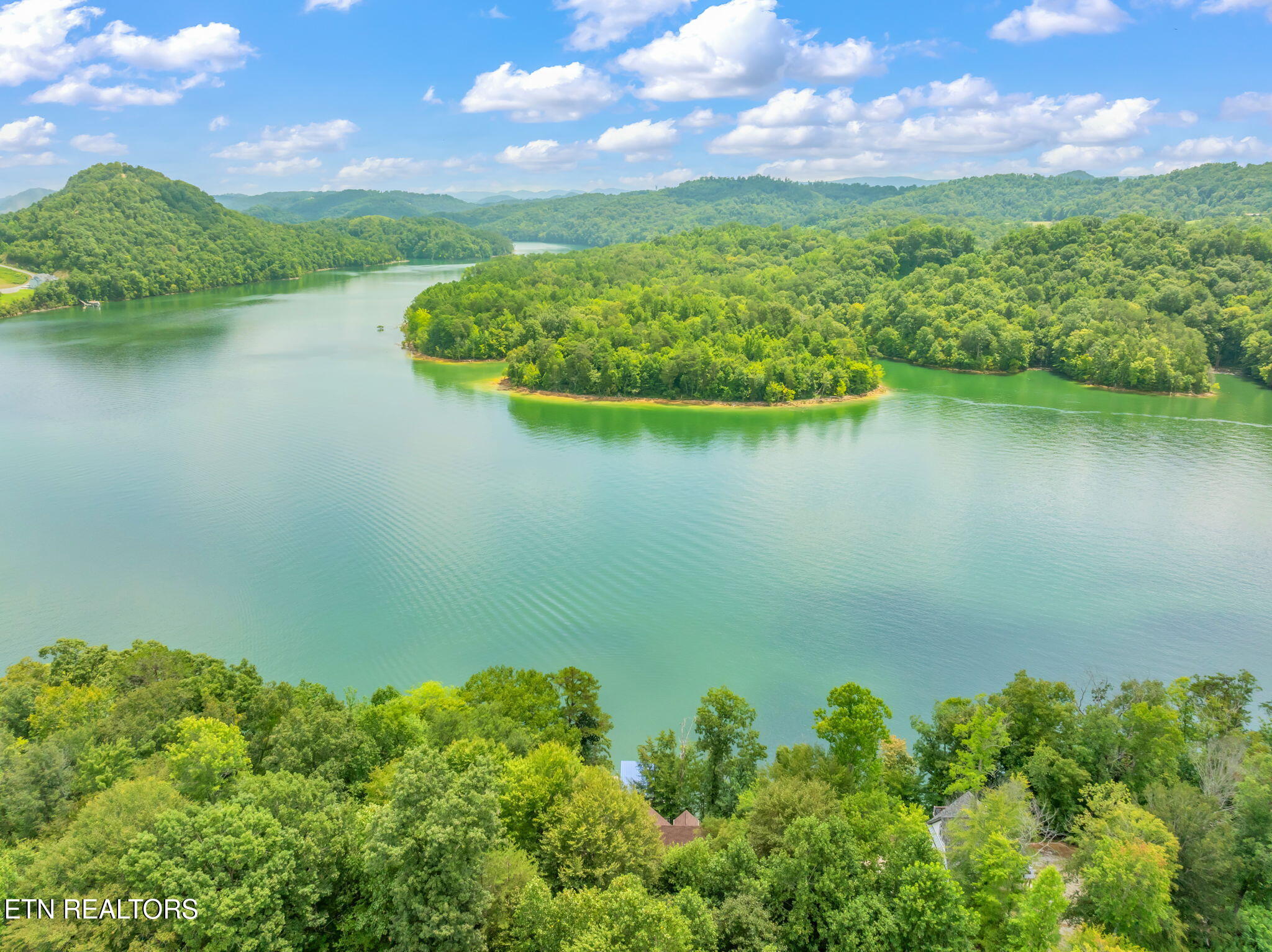 168 Rockfish Point New Tazewell TN 37825
