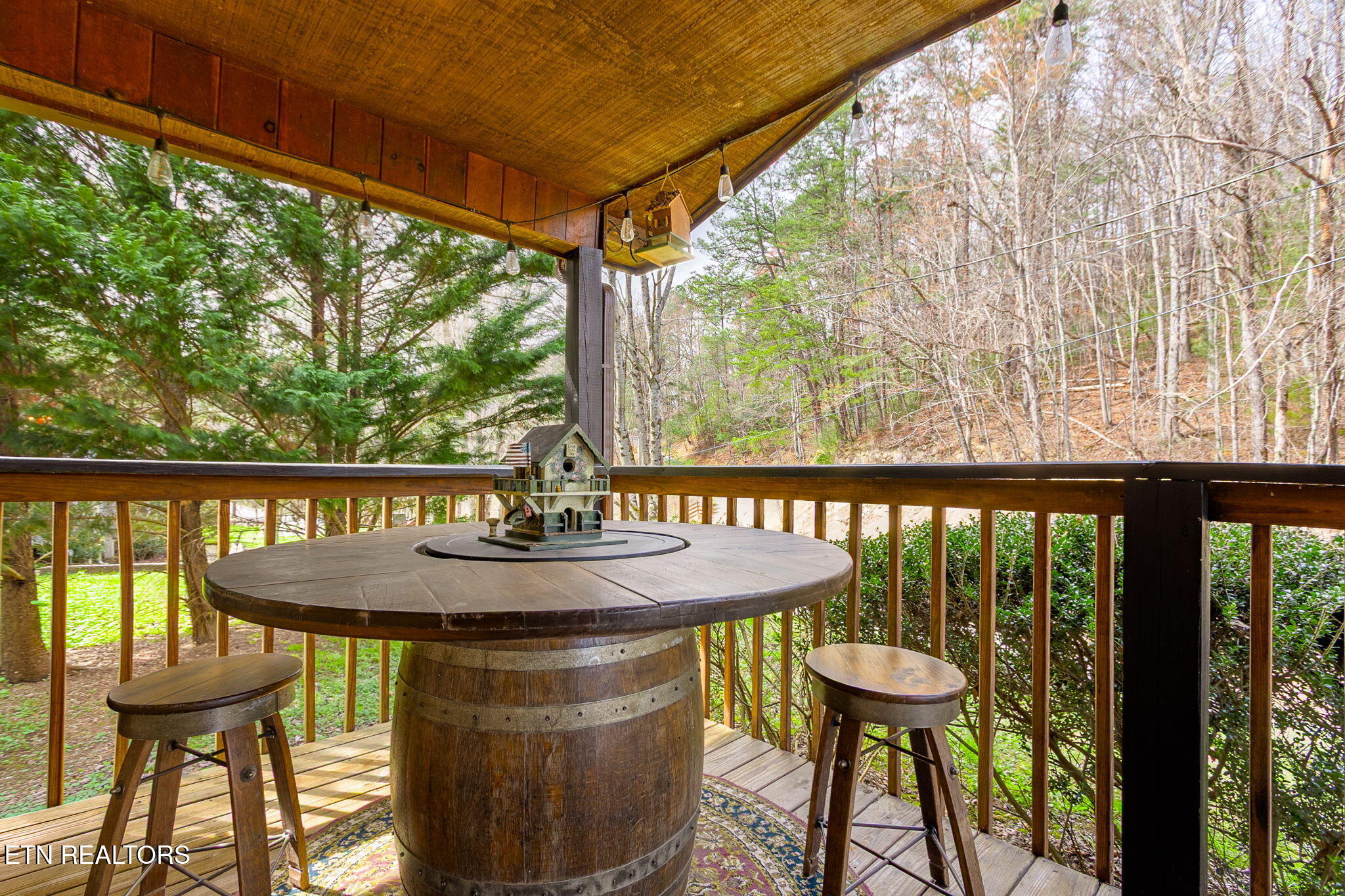 4424 & 4428 Grindstone Ridge Road Pigeon Forge TN 37863
