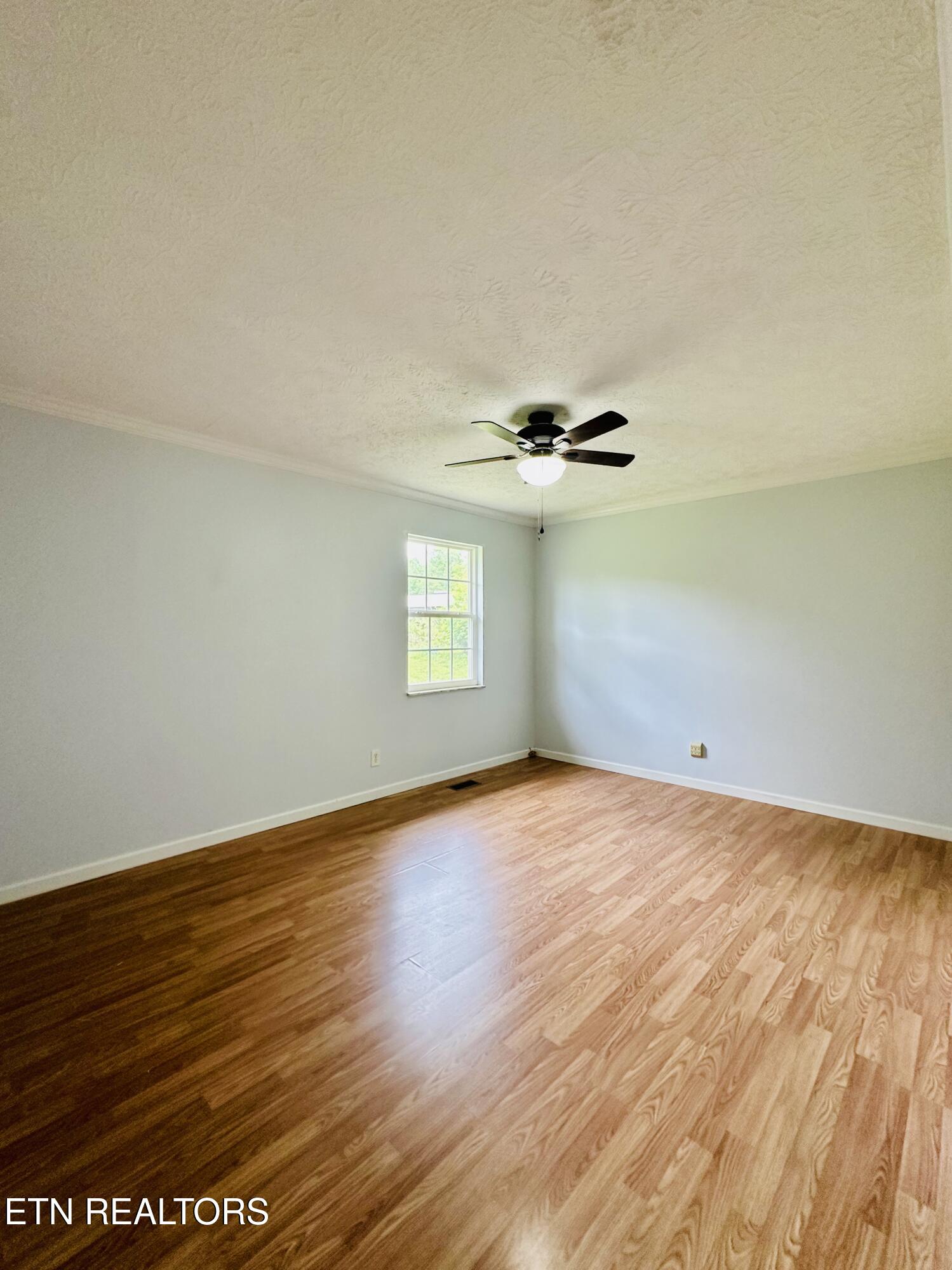 615 Mccartt Street Wartburg TN 37887