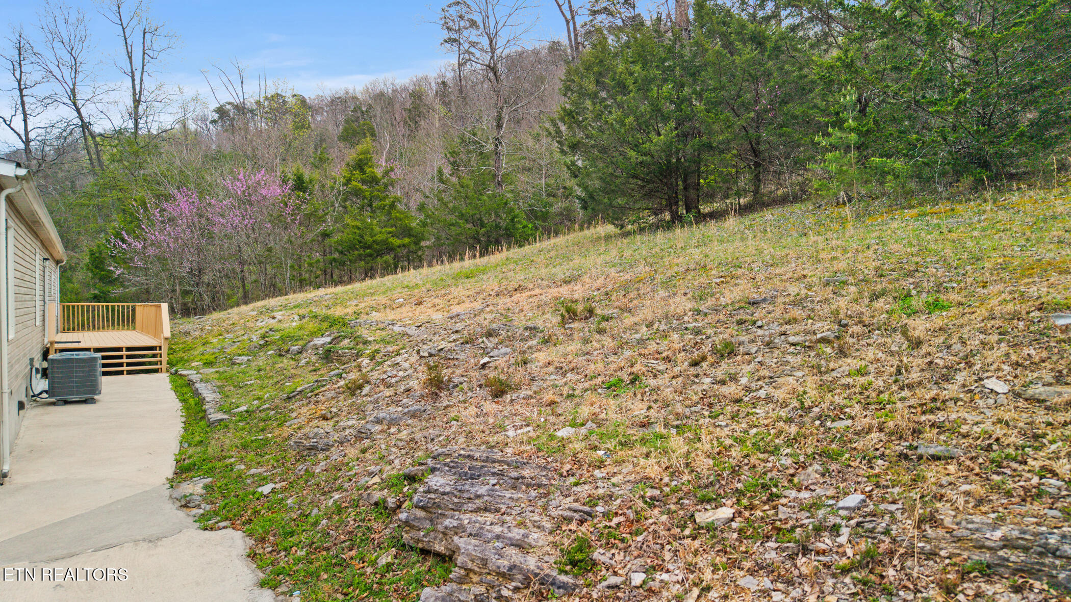 150 E Raccoon Valley Drive Heiskell TN 37754