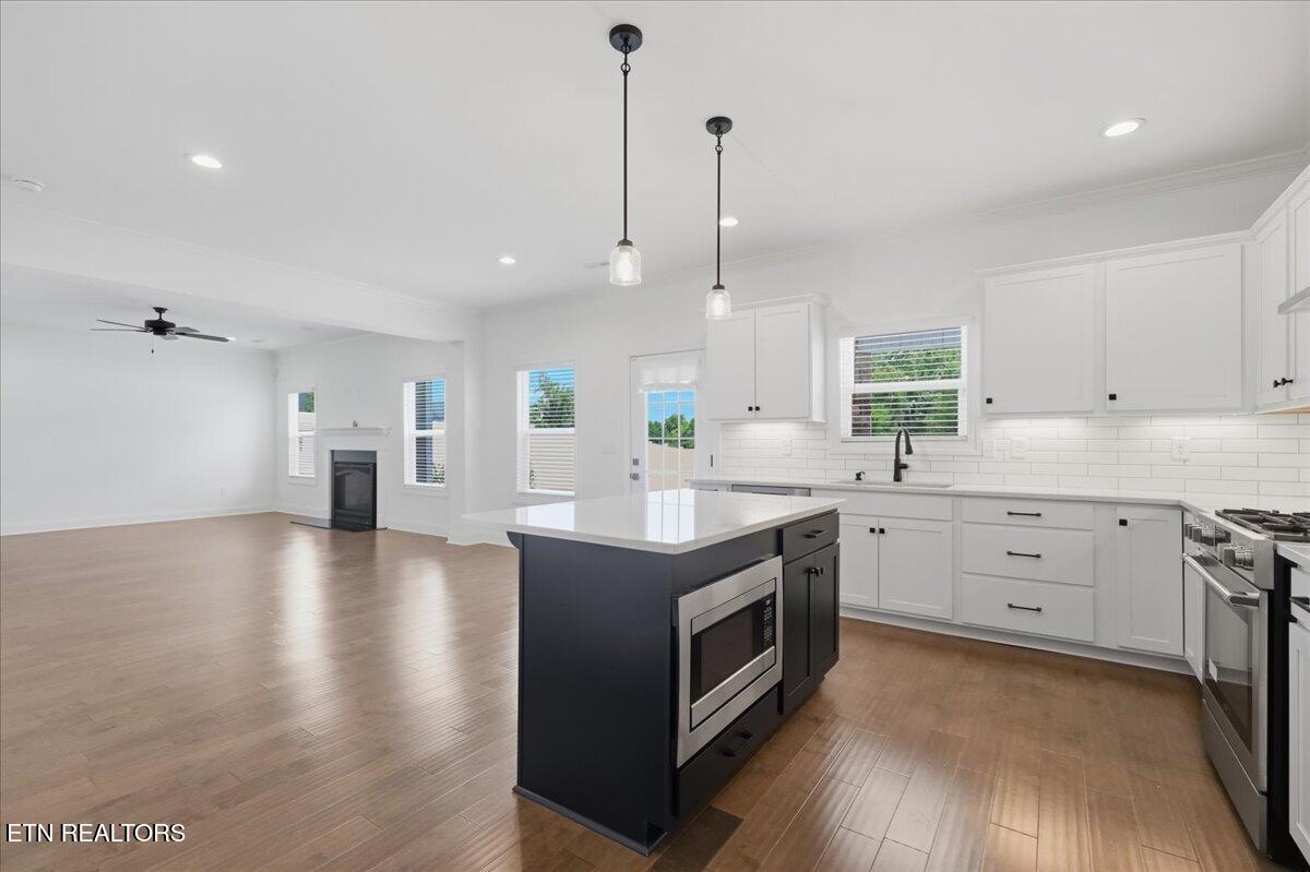 1720 Melton Meadows Drive Maryville TN 37803