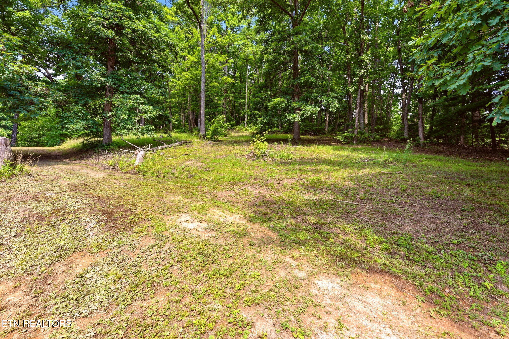 146 Peach Tree Circle Wartburg TN 37887