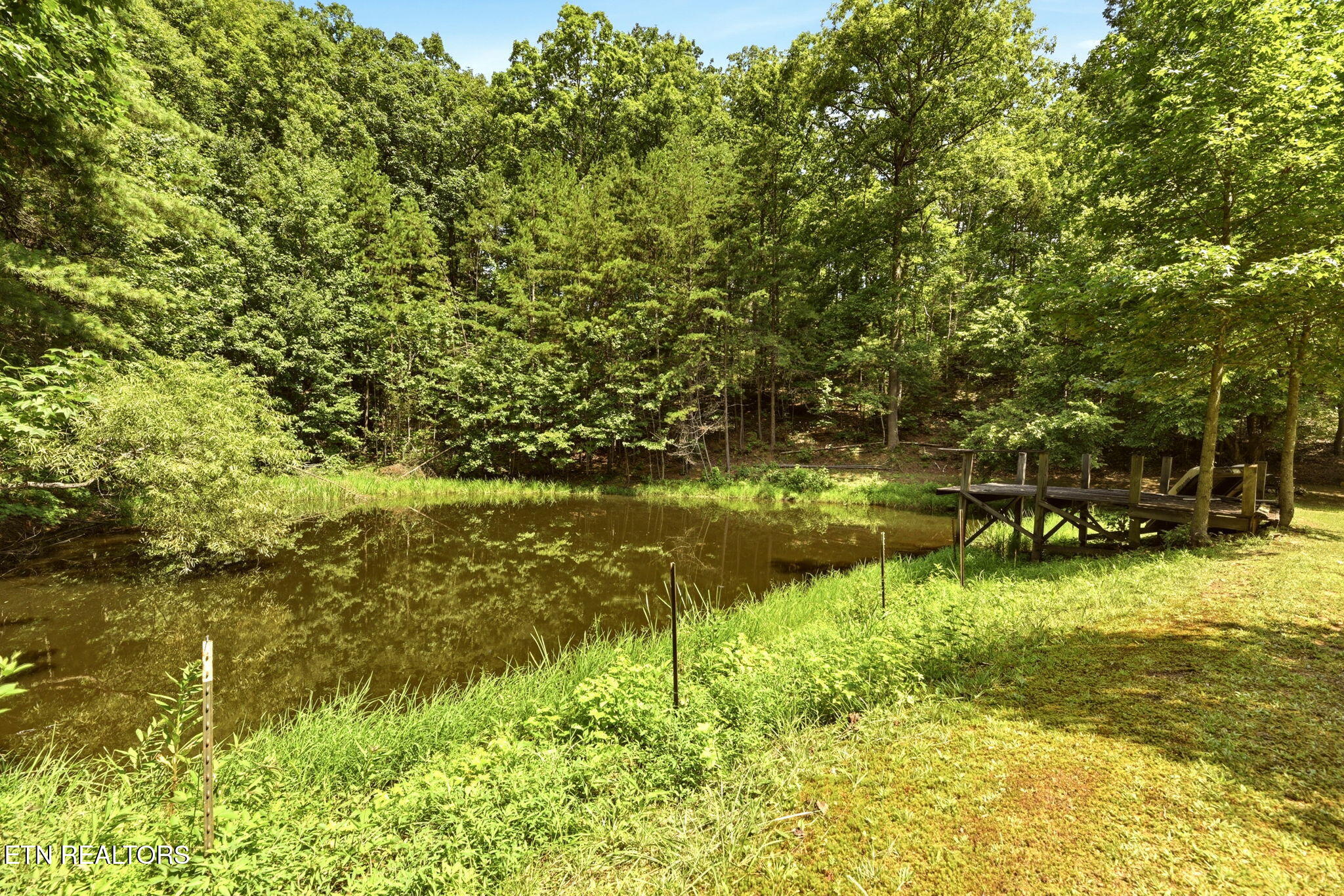 146 Peach Tree Circle Wartburg TN 37887