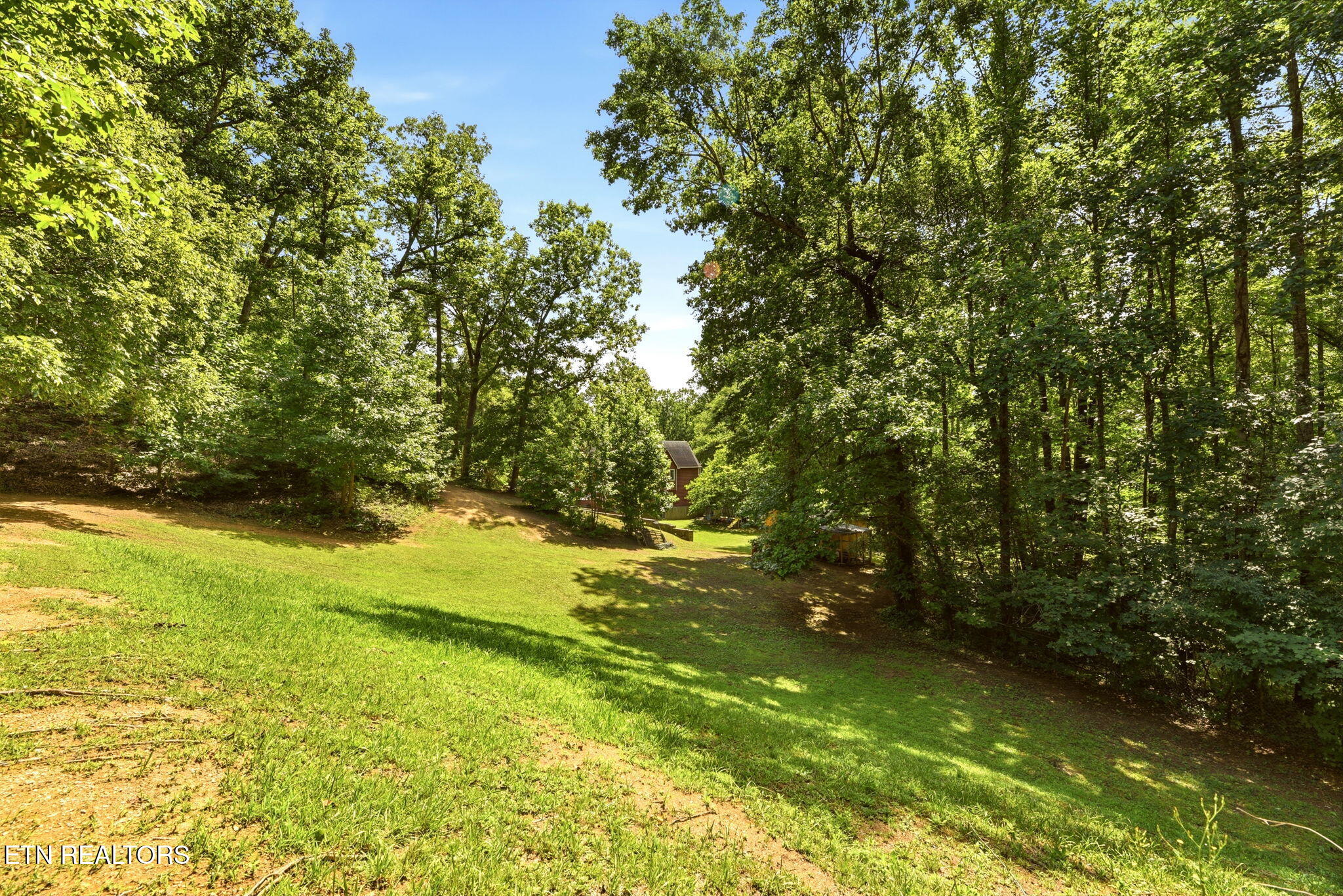 146 Peach Tree Circle Wartburg TN 37887