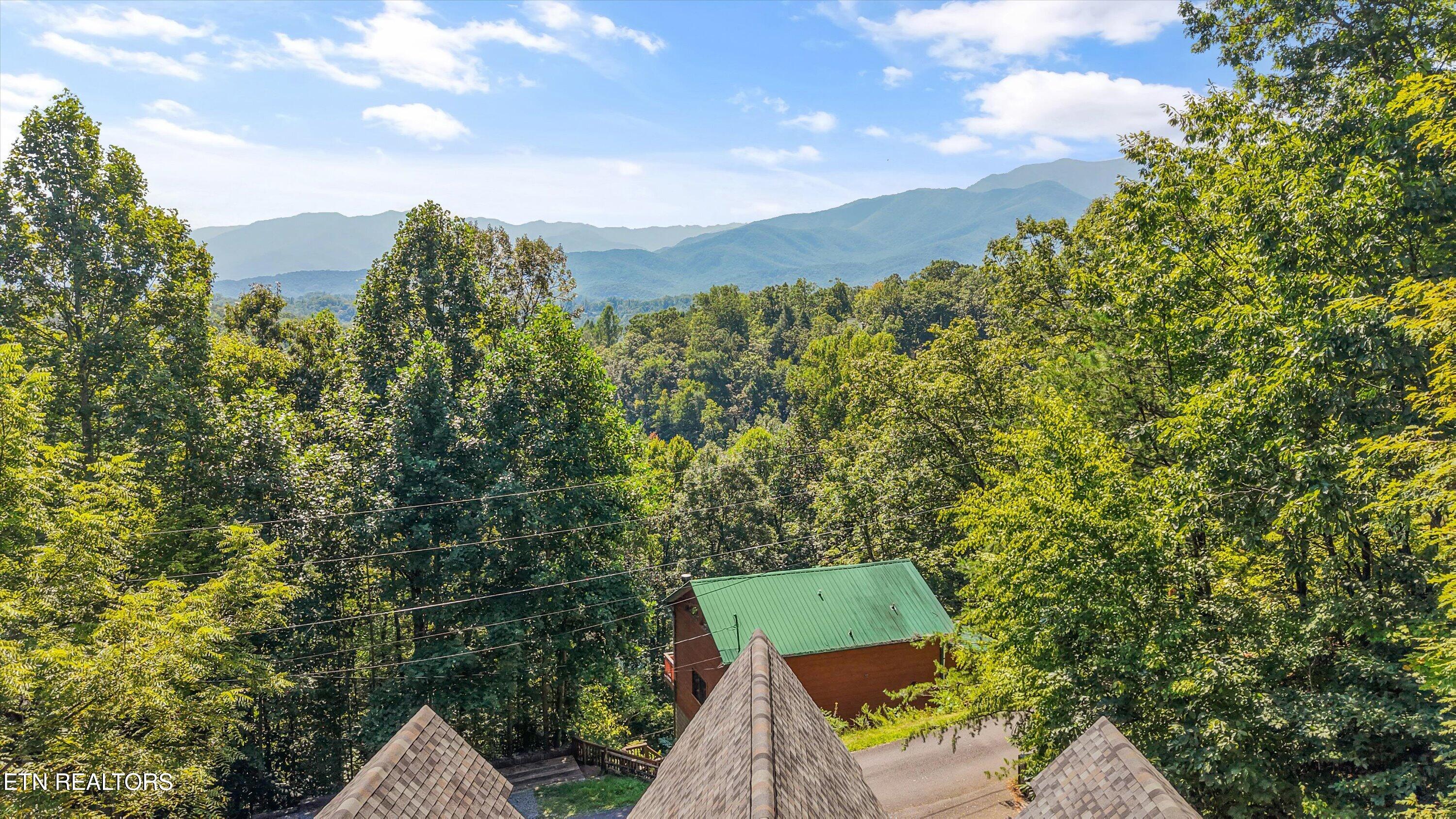 1041 Vista Drive Gatlinburg TN 37738