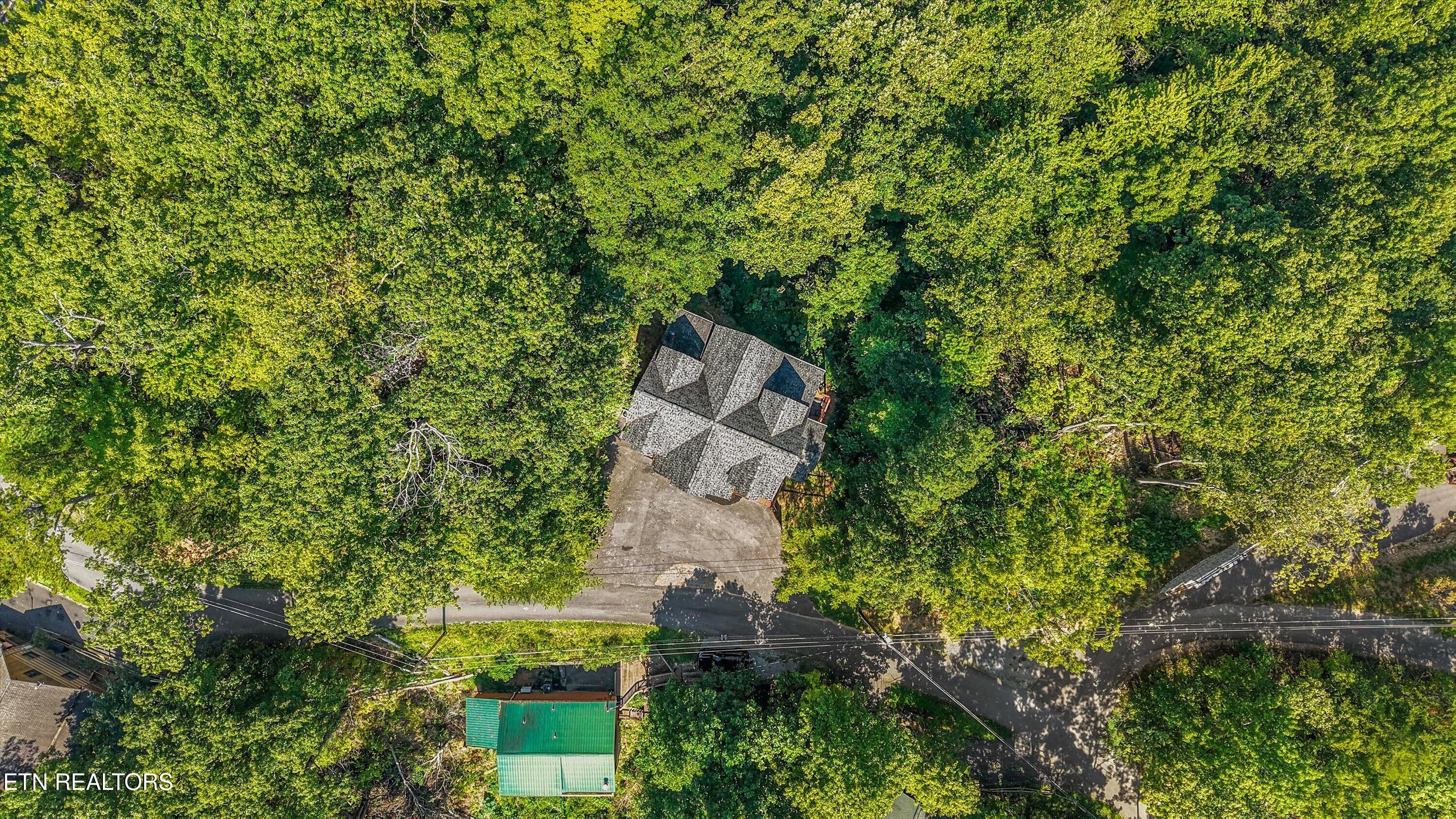 1041 Vista Drive Gatlinburg TN 37738