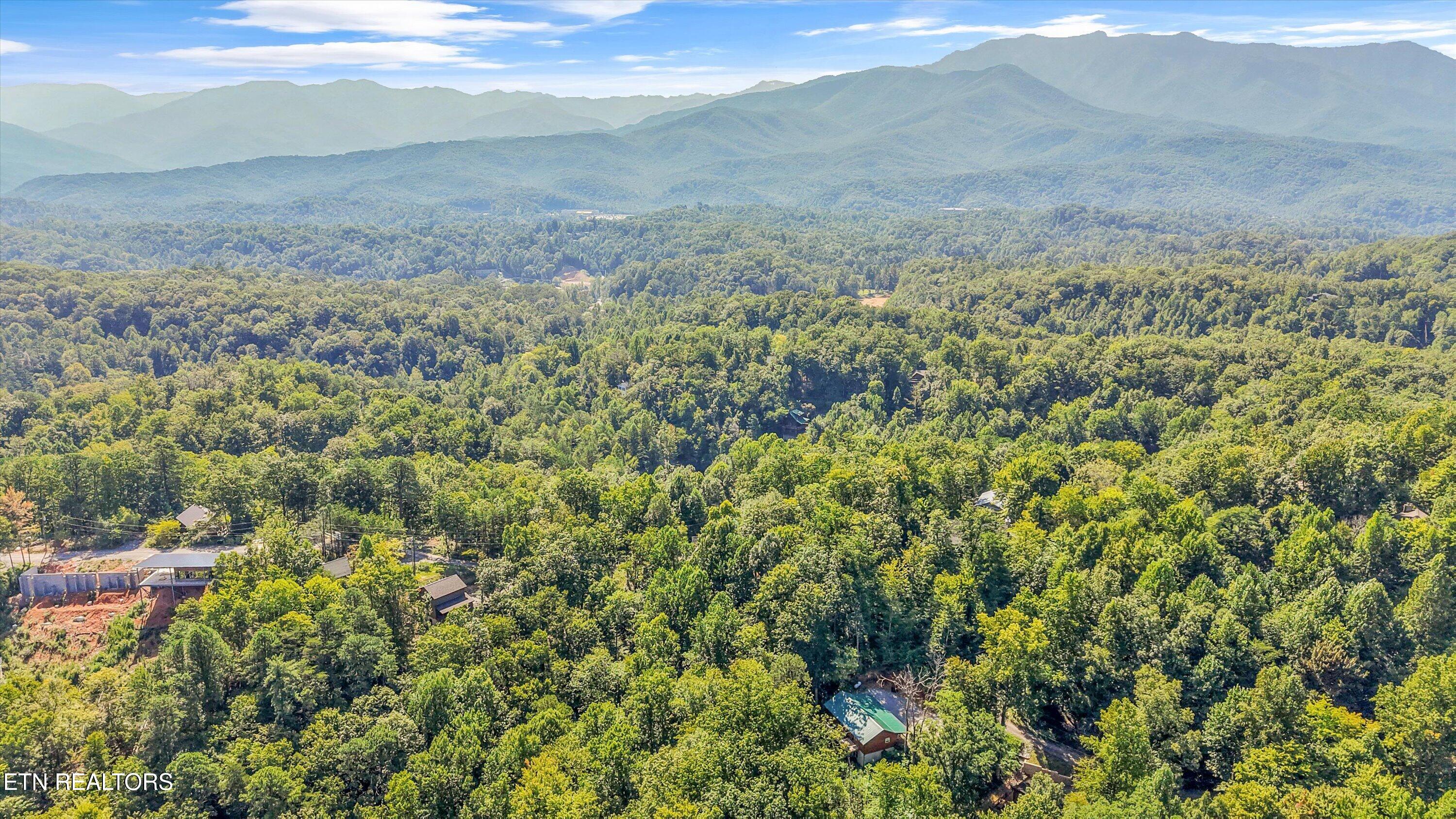 1041 Vista Drive Gatlinburg TN 37738