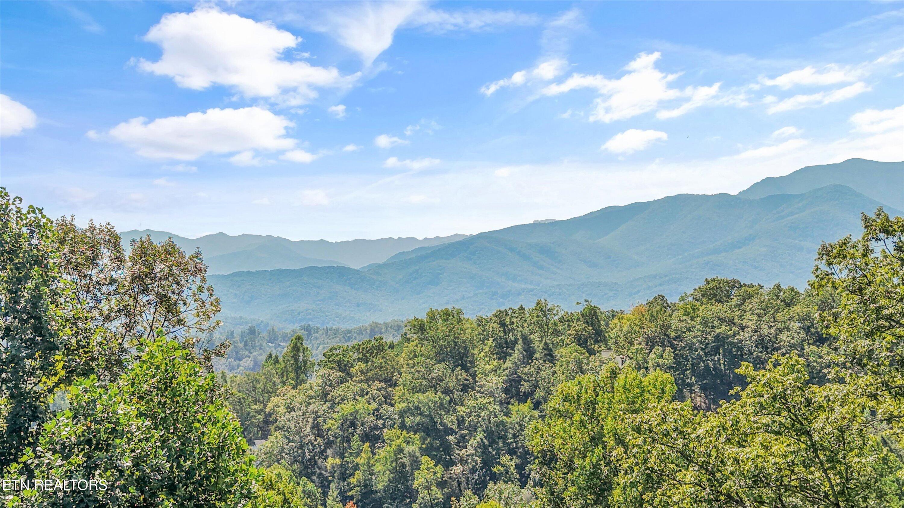 1041 Vista Drive Gatlinburg TN 37738