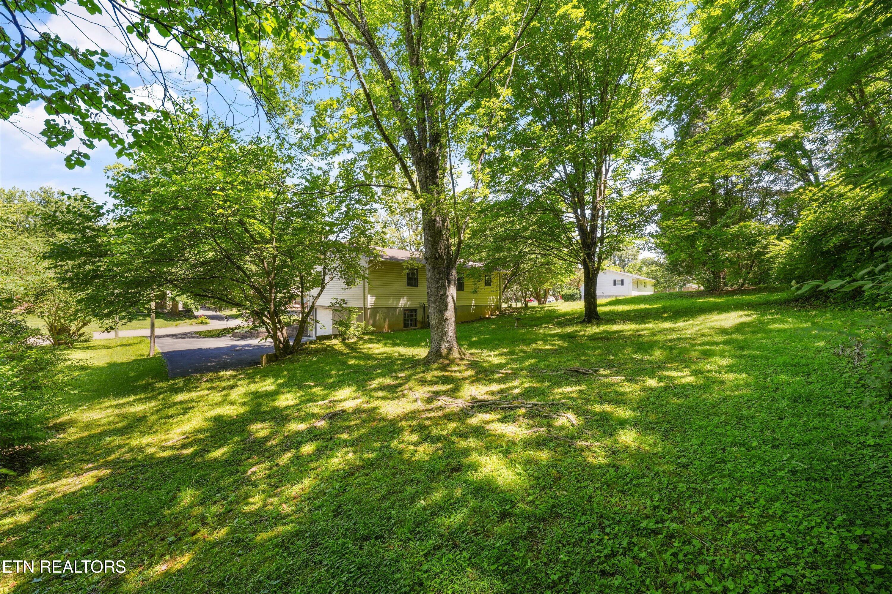 4304 Woodvale Drive Knoxville TN 37918