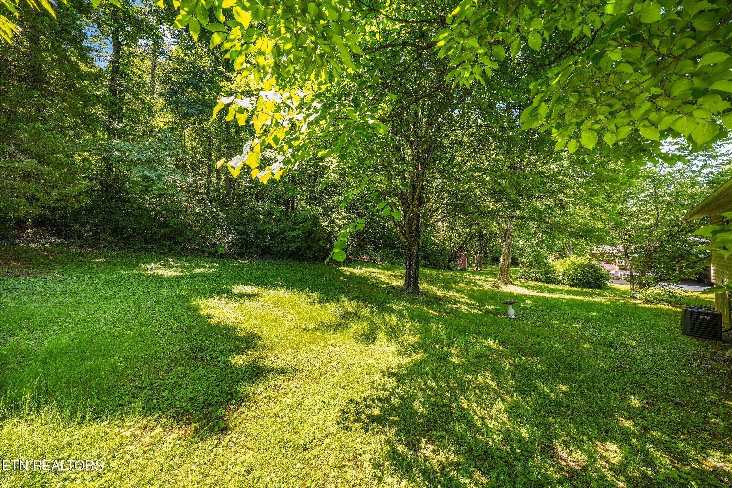 4304 Woodvale Drive Knoxville TN 37918
