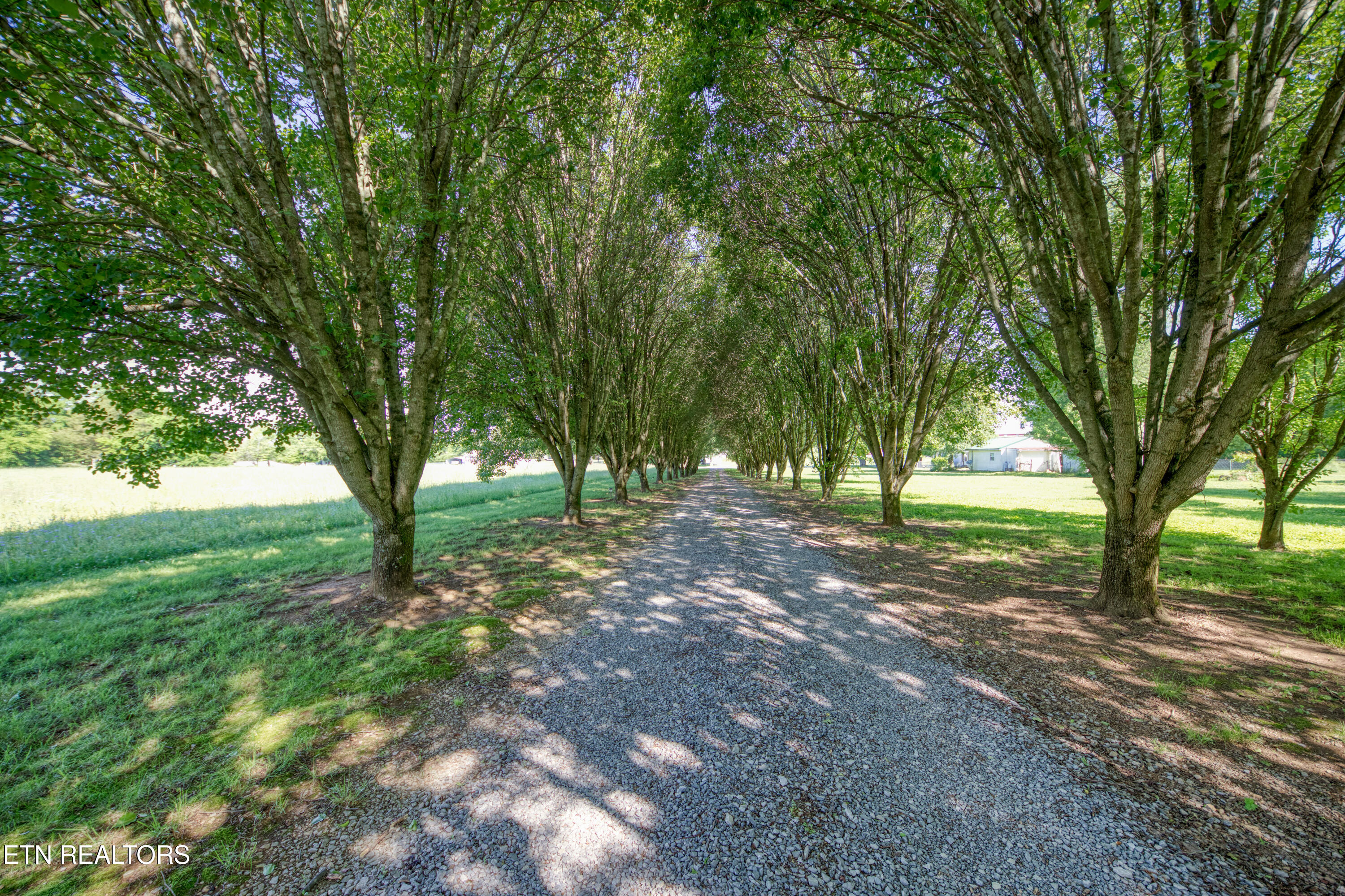 4479 Niles Ferry Road Greenback TN 37742