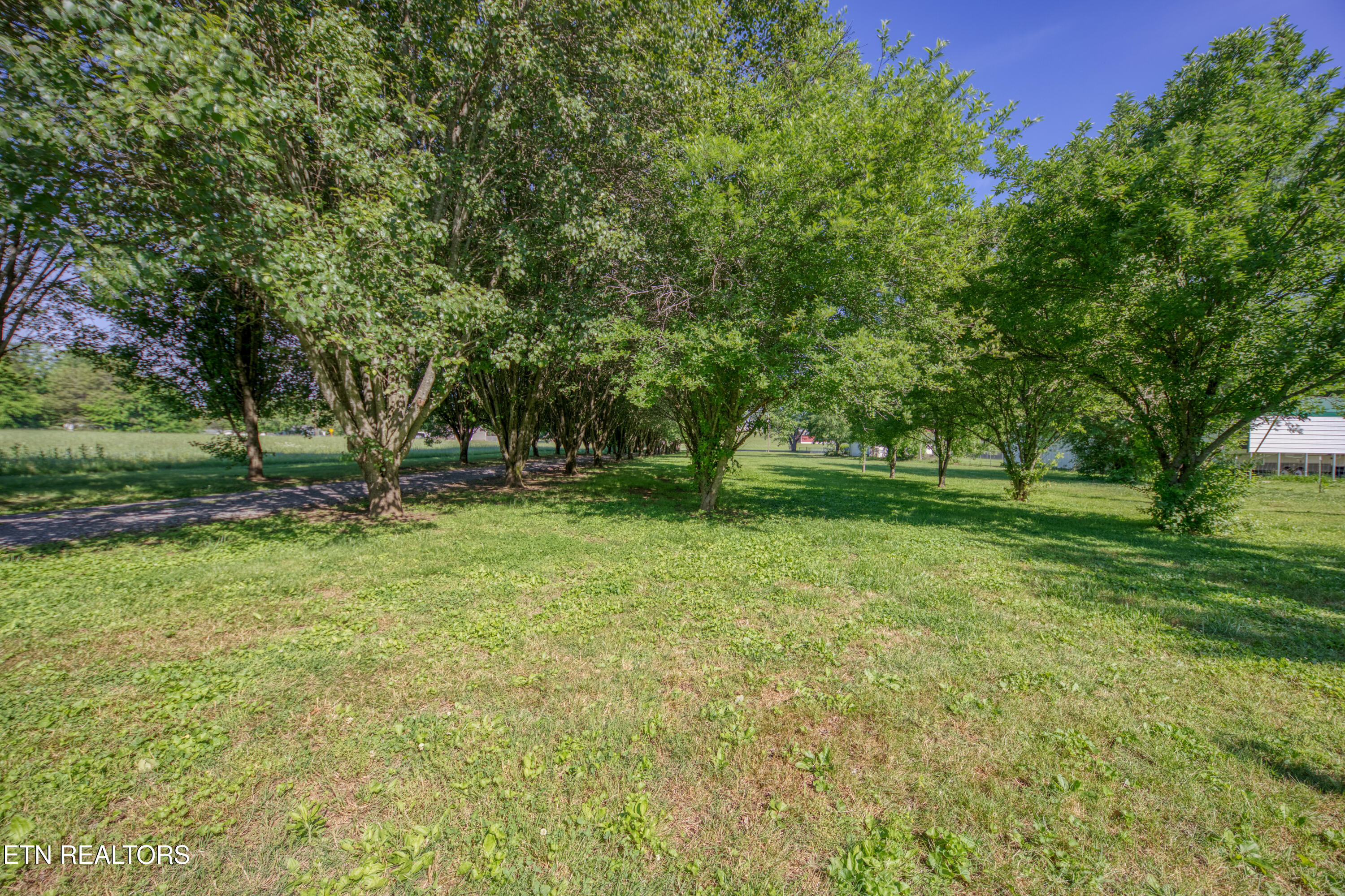 4479 Niles Ferry Road Greenback TN 37742