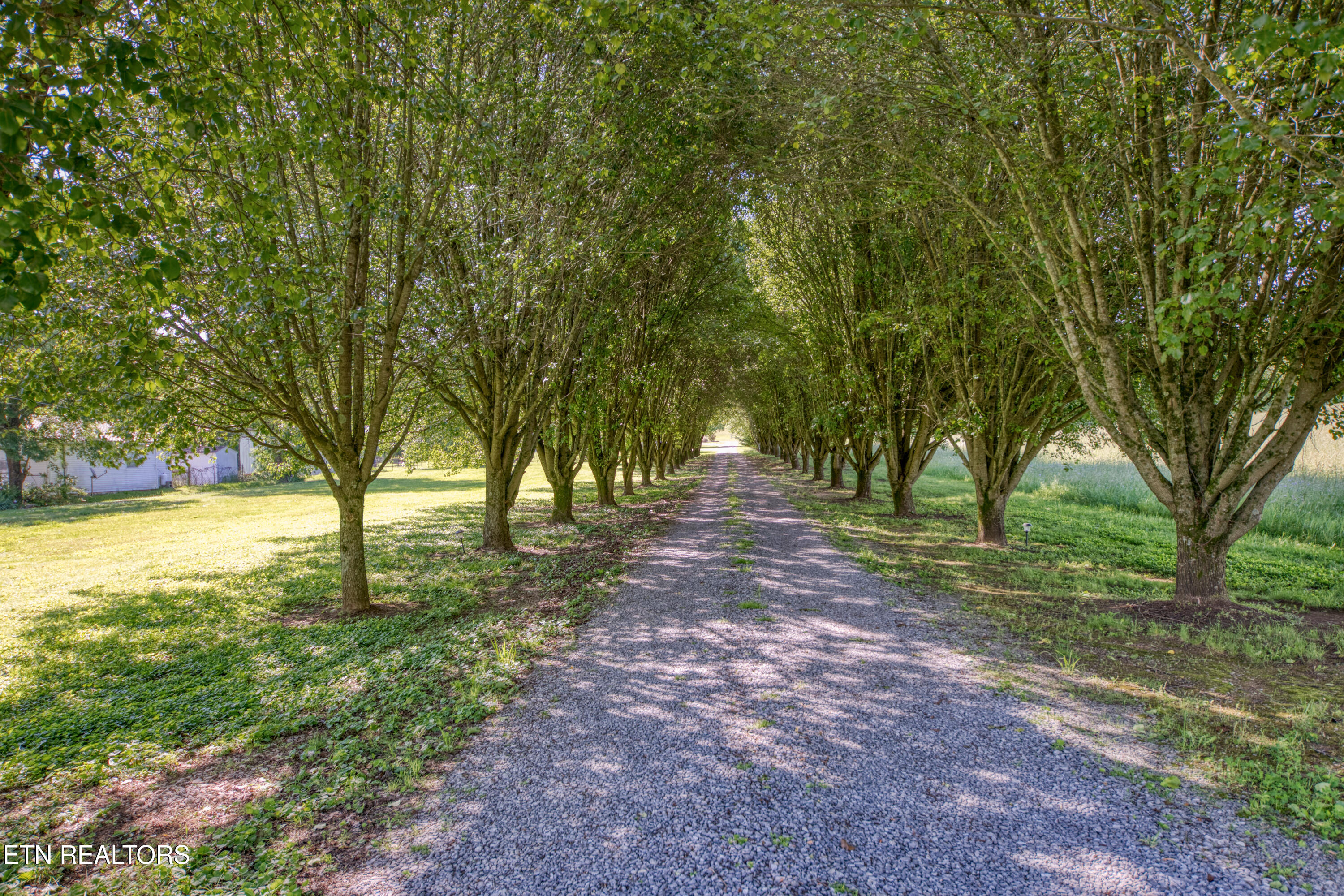 4479 Niles Ferry Road Greenback TN 37742