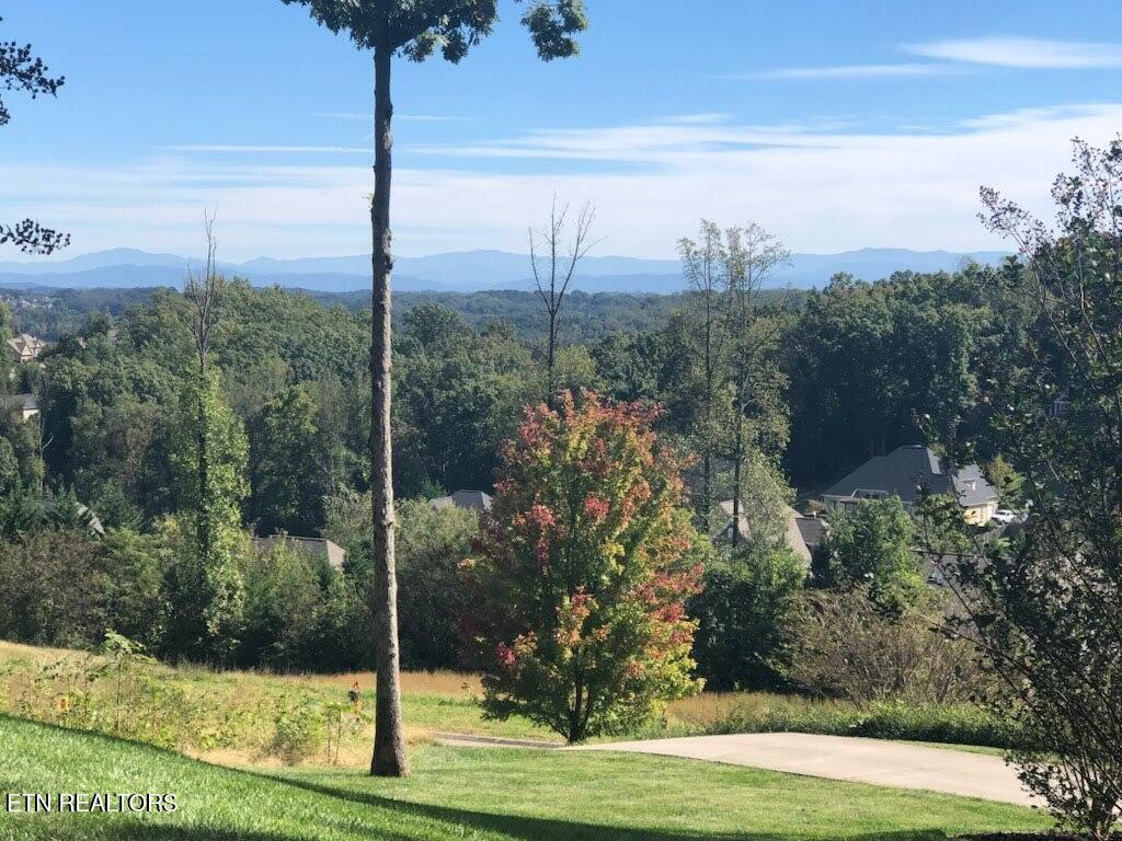 419 Laurel Ridge Lane Knoxville TN 37922