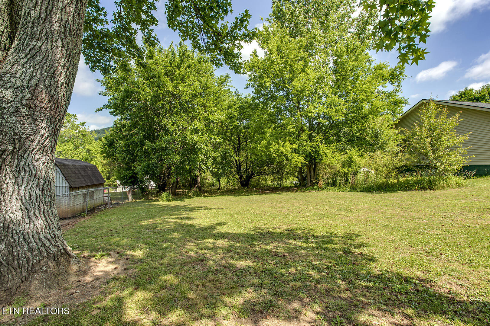 707 Vine Avenue Rockwood TN 37854